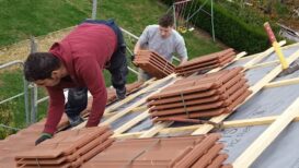 IMG_20221017_143603 IMG_20221017_143603